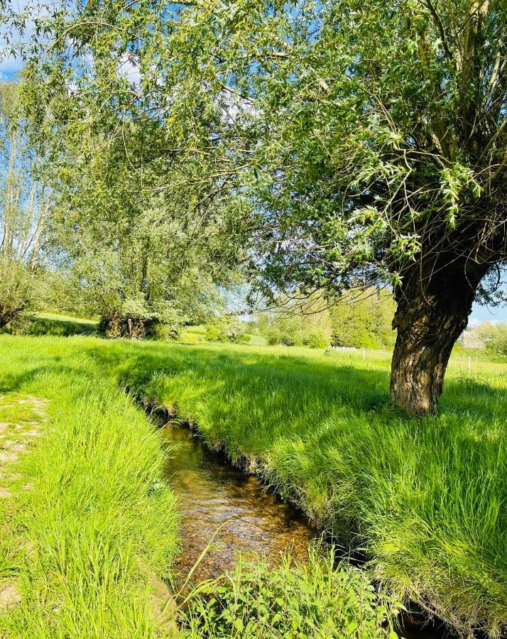 مبيت وإفطار Wahlwiller A Little Peace And Quiet المظهر الخارجي الصورة